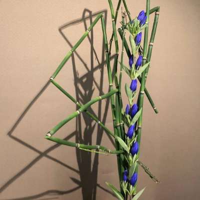 Ikebana